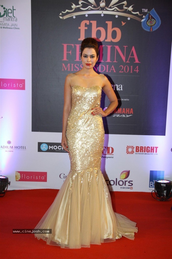 Hot Celebs at Femina Miss India 2014 - 5 / 112 photos