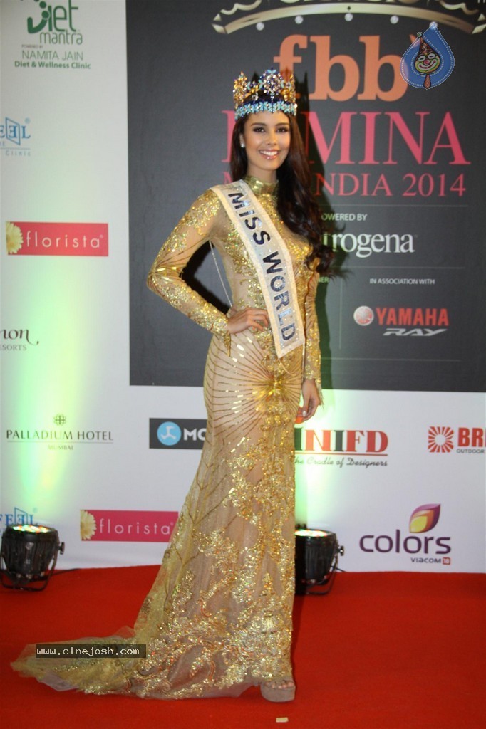 Hot Celebs at Femina Miss India 2014 - 65 / 112 photos