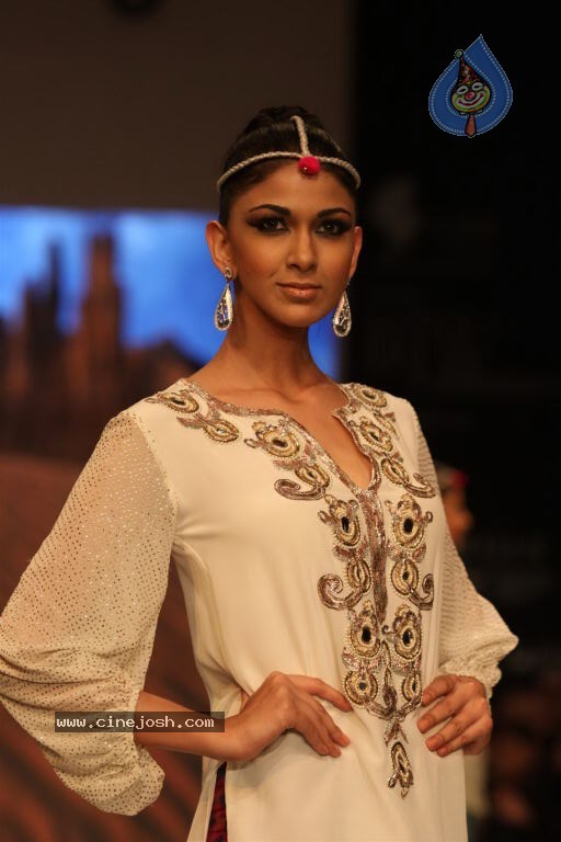 Hot Celebs at IIJW 2012 Show - 23 / 238 photos