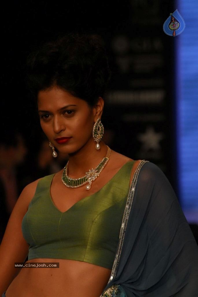 Hot Celebs at IIJW 2012 Show - 33 / 238 photos