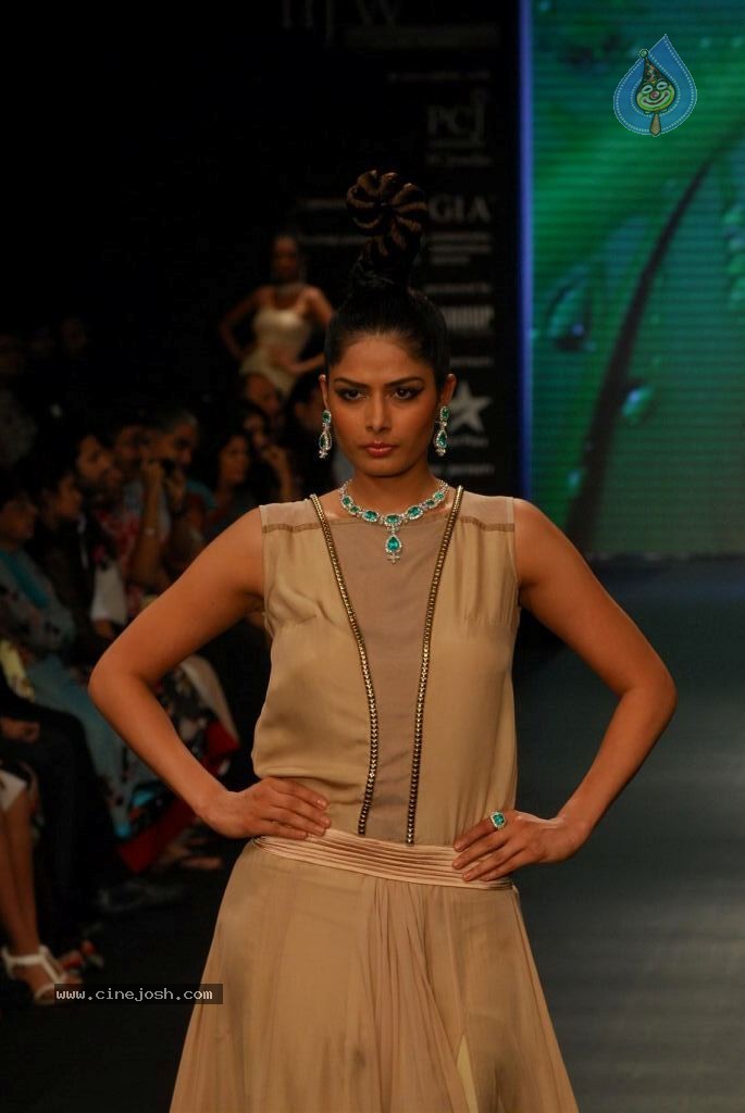 Hot Celebs at IIJW 2012 Show - 47 / 238 photos
