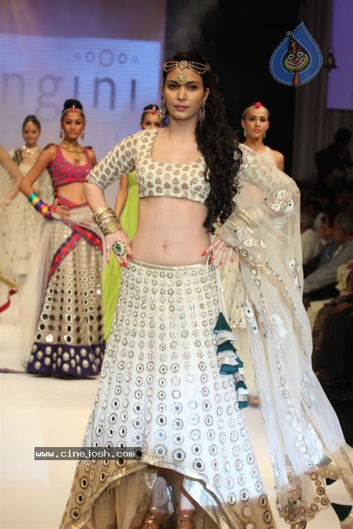 Hot Celebs at IIJW 2012 Show - 53 / 238 photos