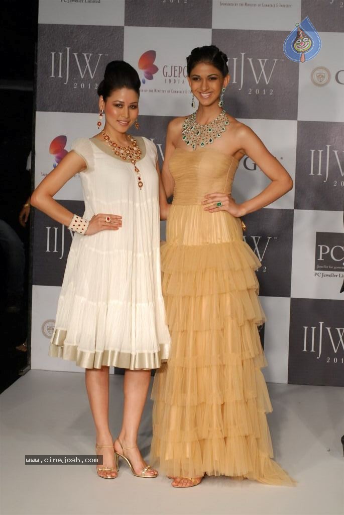 Hot Celebs at IIJW 2012 Show - 117 / 238 photos