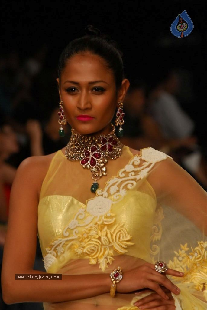 Hot Celebs at IIJW 2012 Show - 151 / 238 photos