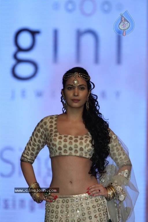 Hot Celebs at IIJW 2012 Show - 166 / 238 photos