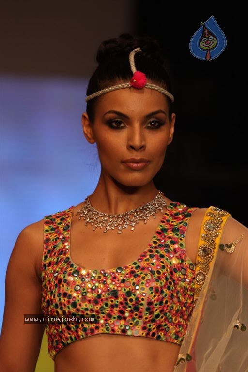 Hot Celebs at IIJW 2012 Show - 198 / 238 photos