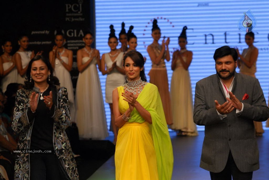 Hot Celebs at IIJW 2012 Show - 201 / 238 photos