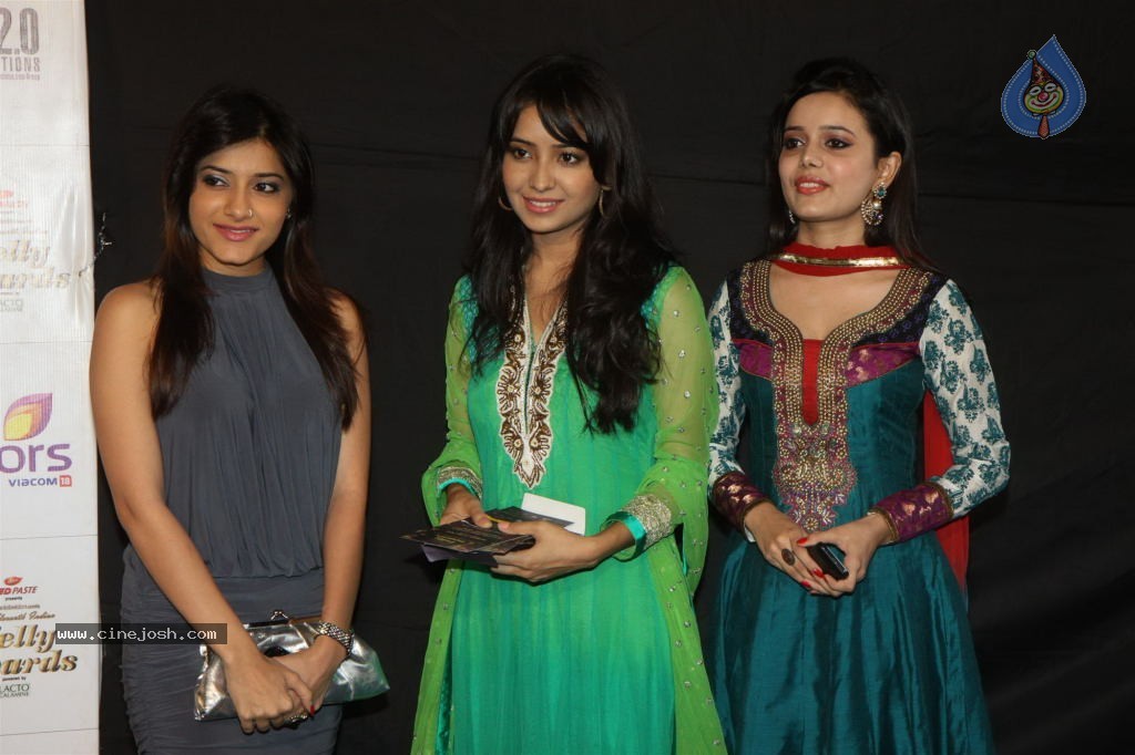 Hot TV Celebs at Indian Telly Awards 2012 - 100 / 106 photos