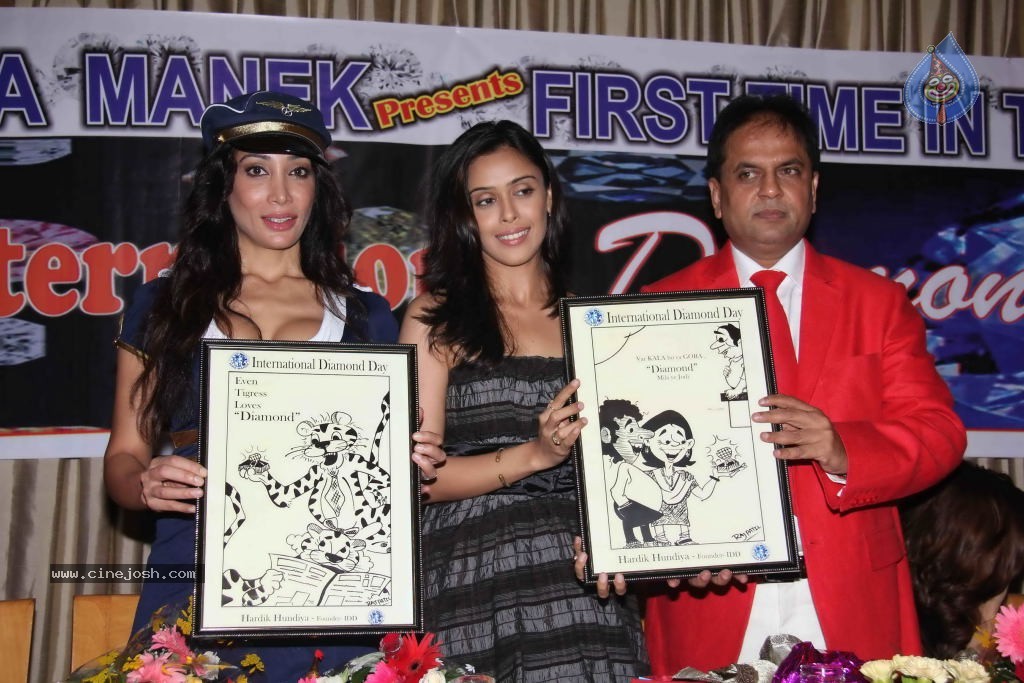 Hrishitaa Bhatt grace Diamond Day Celebrations - 20 / 59 photos