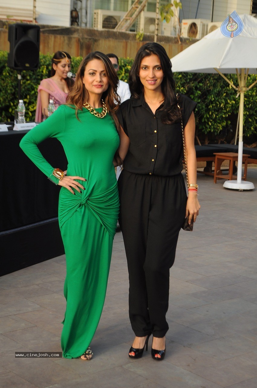 IBFW 2015 Goa Press Meet - 19 / 21 photos