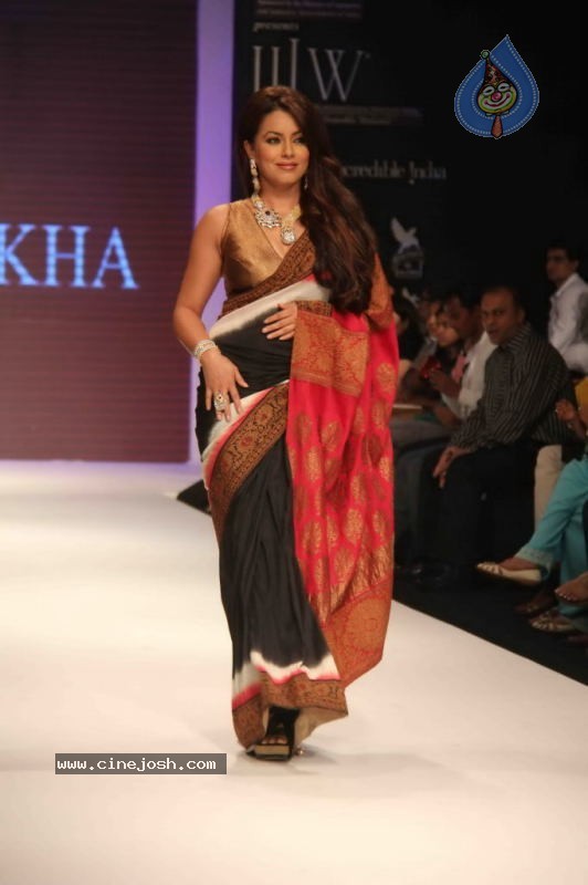 IIJW 2011 Ramp Walk Show Day 3 - 24 / 81 photos