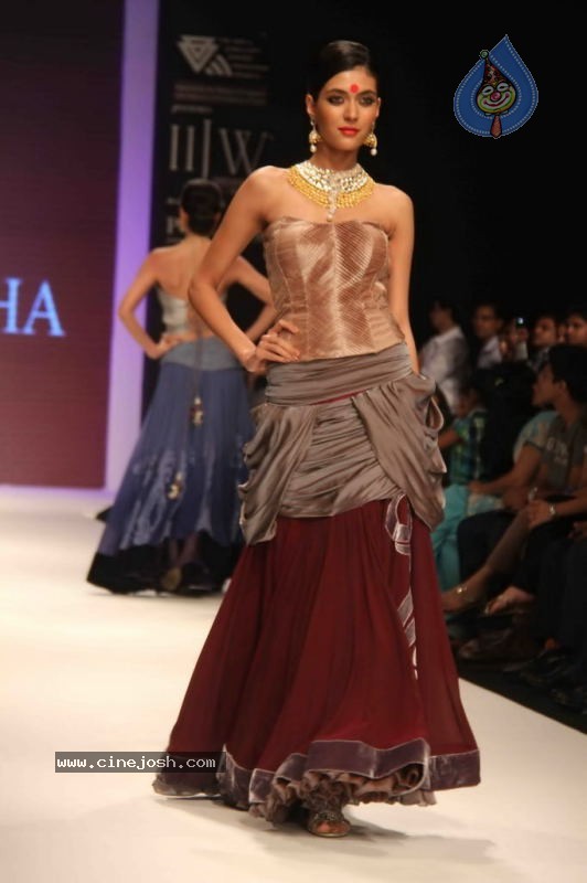 IIJW 2011 Ramp Walk Show Day 3 - 43 / 81 photos