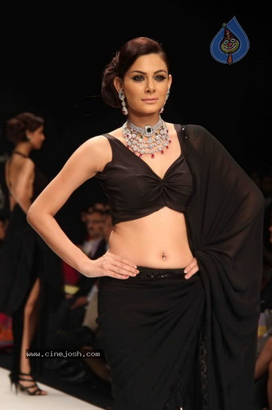 IIJW 2011 Ramp Walk Show Day 3 - 48 / 81 photos