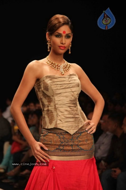 IIJW 2011 Ramp Walk Show Day 3 - 49 / 81 photos