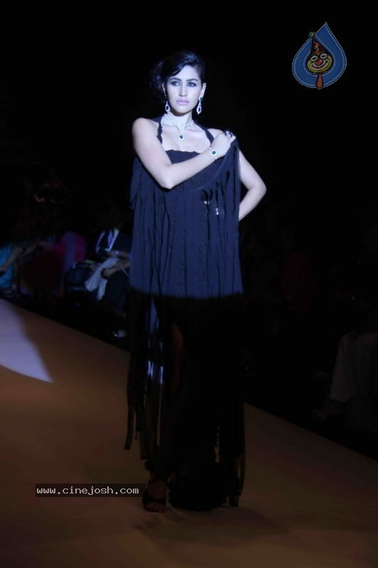 IIJW 2011 Ramp Walk Show Day 3 - 52 / 81 photos