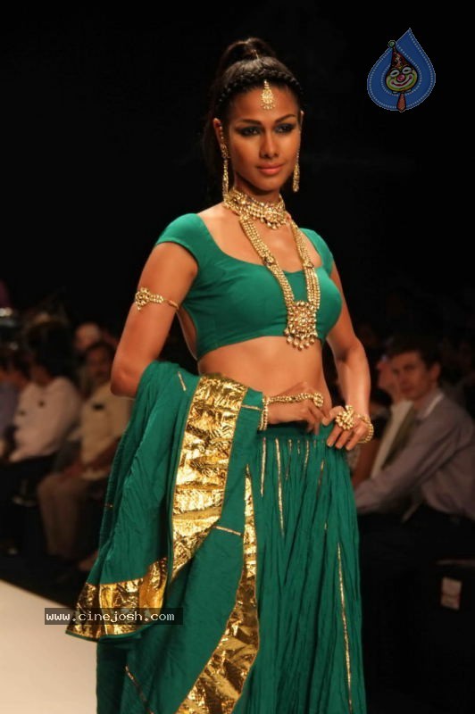 IIJW 2011 Ramp Walk Show Day 3 - 53 / 81 photos
