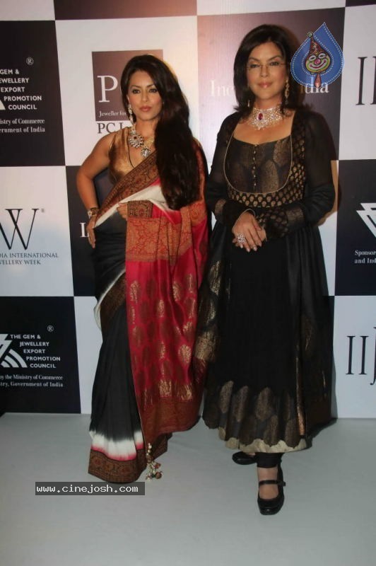 IIJW 2011 Ramp Walk Show Day 3 - 56 / 81 photos
