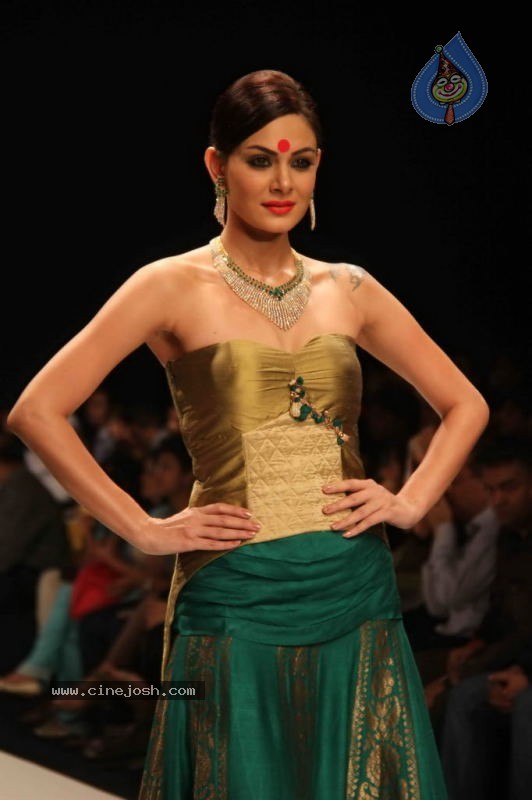 IIJW 2011 Ramp Walk Show Day 3 - 67 / 81 photos
