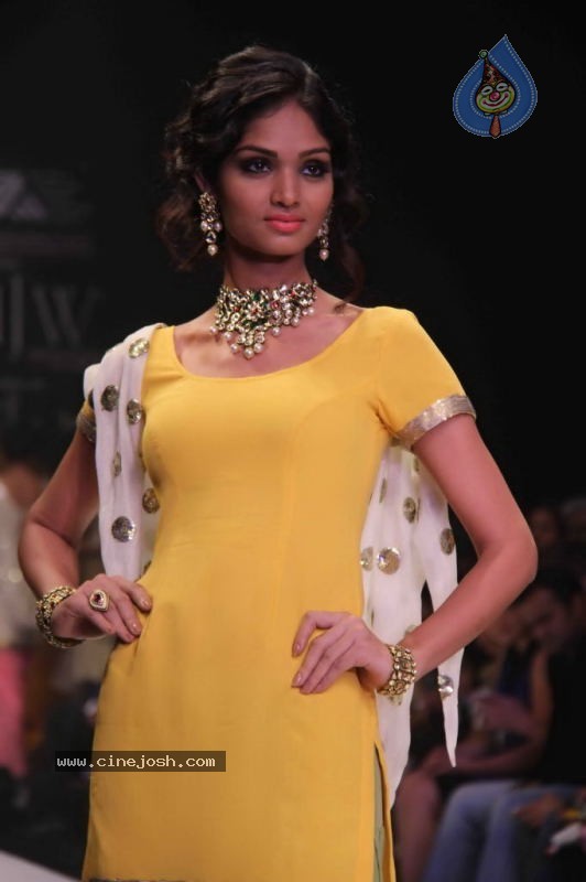 IIJW 2011 Ramp Walk Show Day 3 - 69 / 81 photos