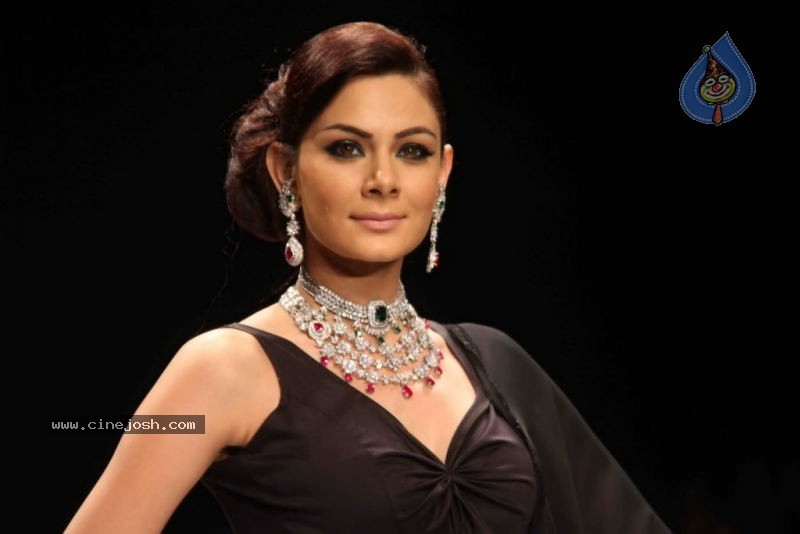 IIJW 2011 Ramp Walk Show Day 3 - 71 / 81 photos