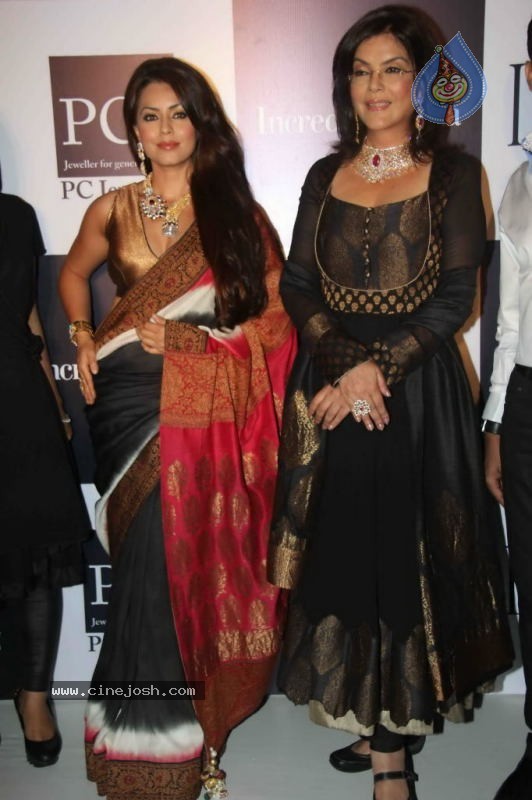 IIJW 2011 Ramp Walk Show Day 3 - 77 / 81 photos