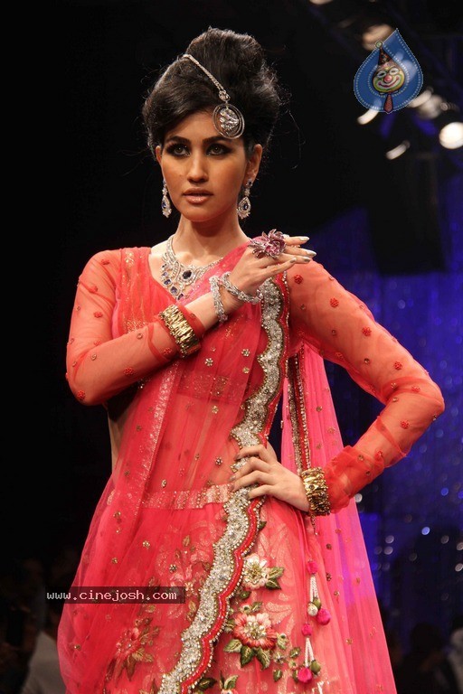 IIJW 2011 Ramp Walk Show Finale - 26 / 49 photos