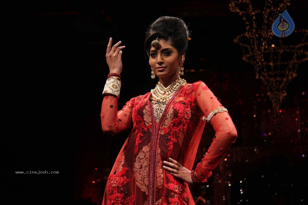 IIJW 2011 Ramp Walk Show Finale - 32 / 49 photos