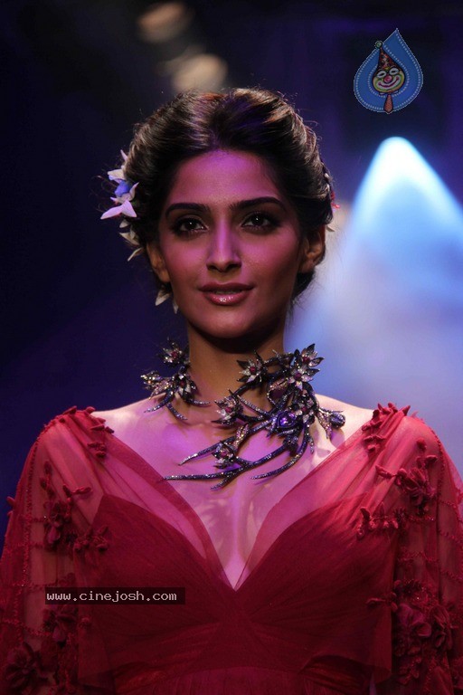 IIJW 2011 Ramp Walk Show Finale - 37 / 49 photos