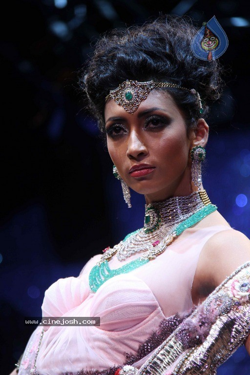 IIJW 2011 Ramp Walk Show Finale - 43 / 49 photos