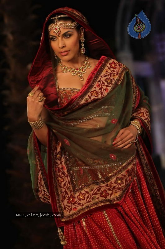 Indian Bridal Week Grand Finale Show - 7 / 52 photos