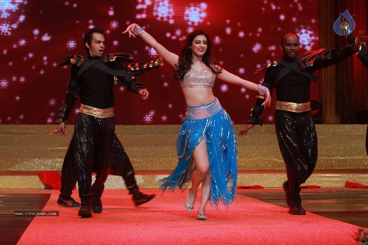 Indian Princess 2015 Grand Finale - 16 / 32 photos