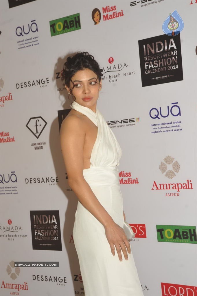 Indian Resort Wear Fashion 2014 Calendar Launch - 55 / 66 photos