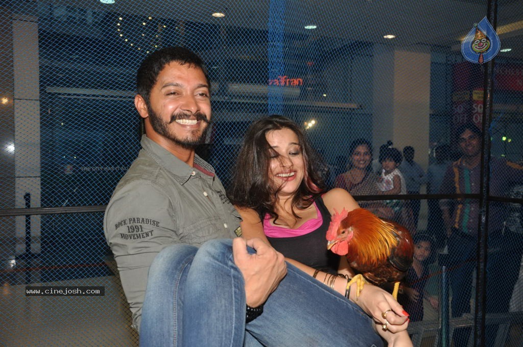 Kamaal Dhamaal Malamaal Movie Promotion - 4 / 32 photos