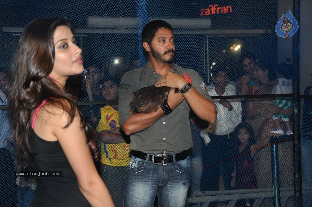 Kamaal Dhamaal Malamaal Movie Promotion - 12 / 32 photos