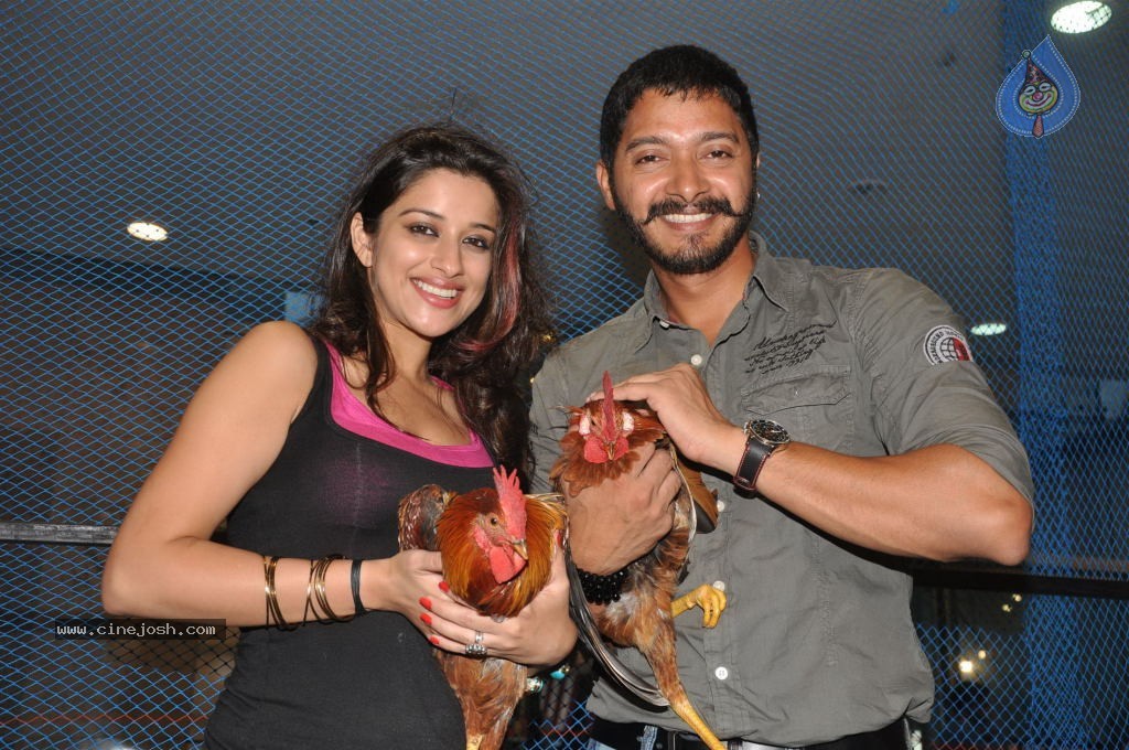 Kamaal Dhamaal Malamaal Movie Promotion - 13 / 32 photos