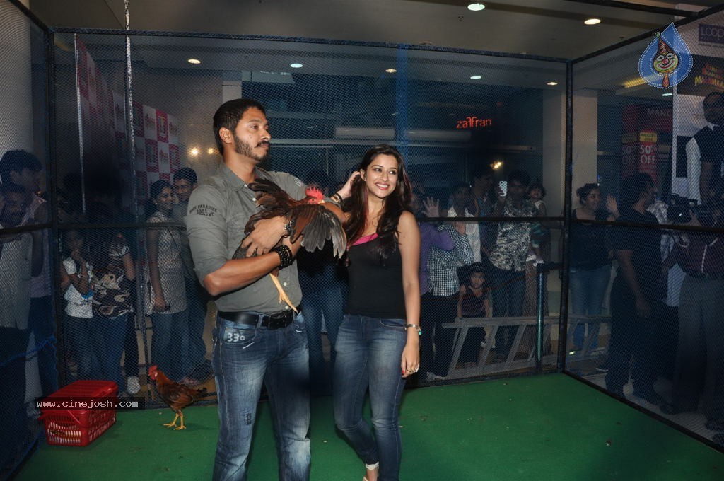 Kamaal Dhamaal Malamaal Movie Promotion - 14 / 32 photos