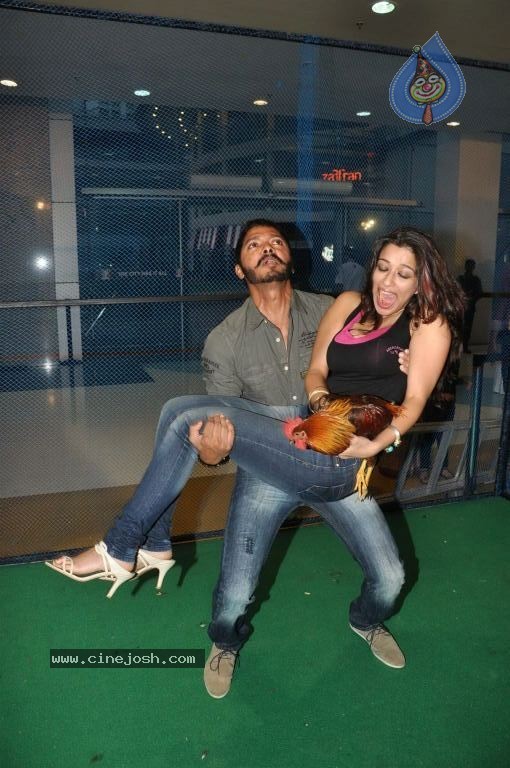 Kamaal Dhamaal Malamaal Movie Promotion - 27 / 32 photos