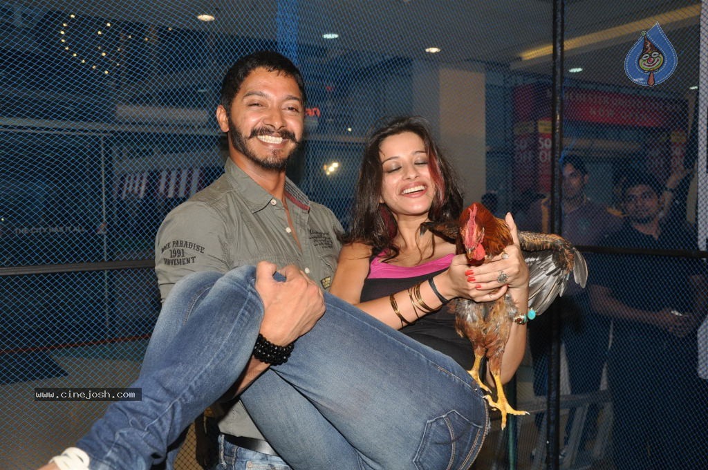 Kamaal Dhamaal Malamaal Movie Promotion - 28 / 32 photos