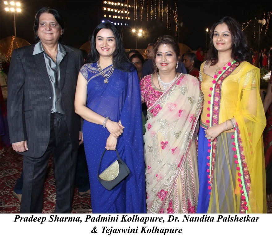 Karishma n Rohan Palshetkar Wedding Reception - 23 / 24 photos
