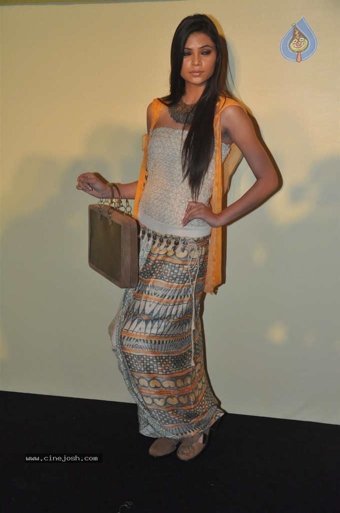 Lakme Fashion Week 2014 Press Meet - 11 / 89 photos