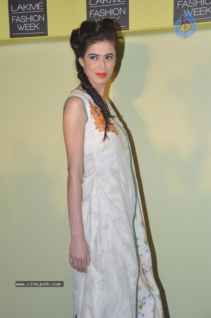 Lakme Fashion Week 2014 Press Meet - 18 / 89 photos