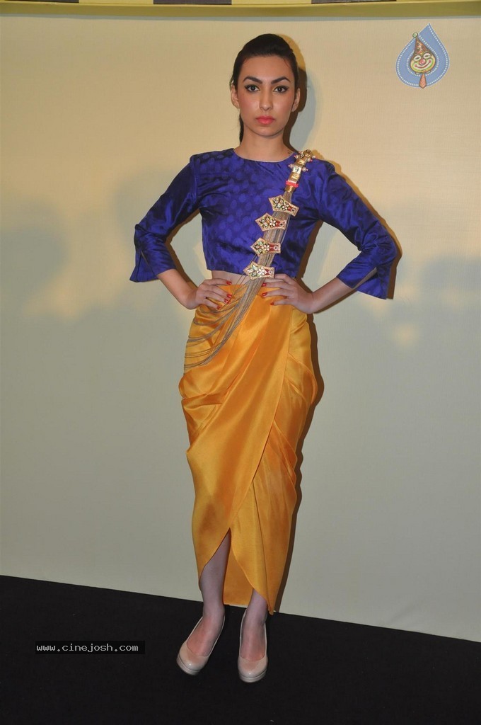 Lakme Fashion Week 2014 Press Meet - 55 / 89 photos
