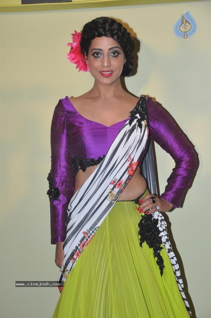 Lakme Fashion Week 2014 Press Meet - 56 / 89 photos