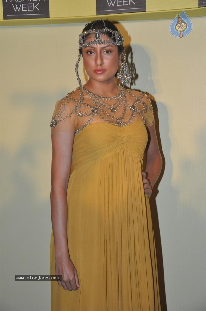 Lakme Fashion Week 2014 Press Meet - 62 / 89 photos