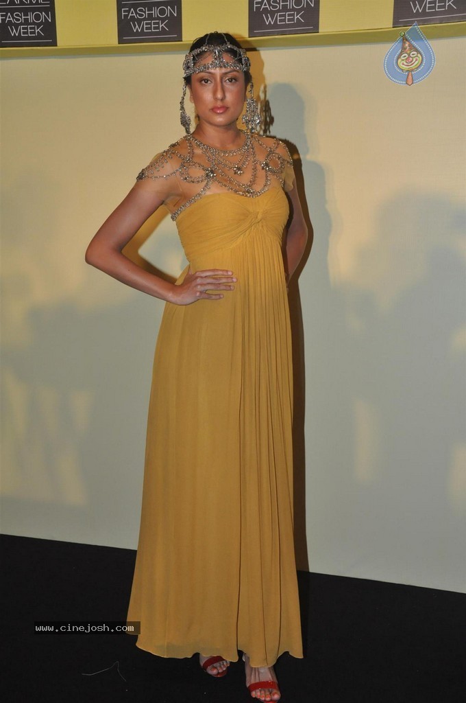 Lakme Fashion Week 2014 Press Meet - 79 / 89 photos