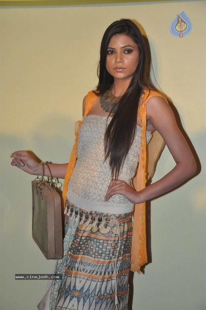 Lakme Fashion Week 2014 Press Meet - 88 / 89 photos