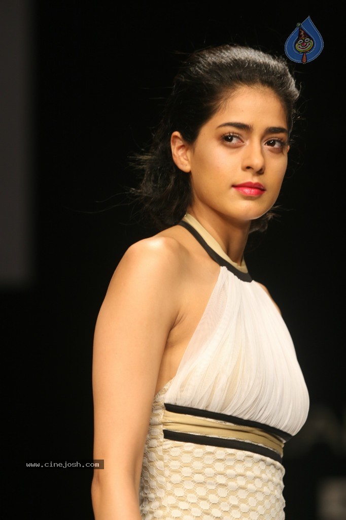 Lakme Fashion Week Grand Finale All Shows - 25 / 146 photos