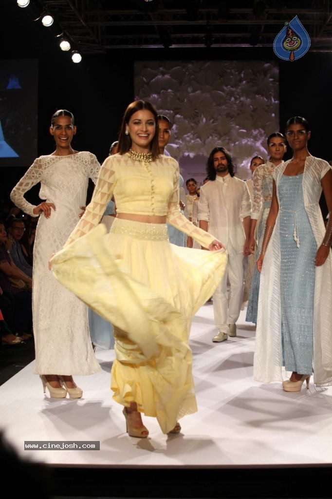 Lakme Fashion Week Summer Resort 2014 Day 4 - 19 / 121 photos