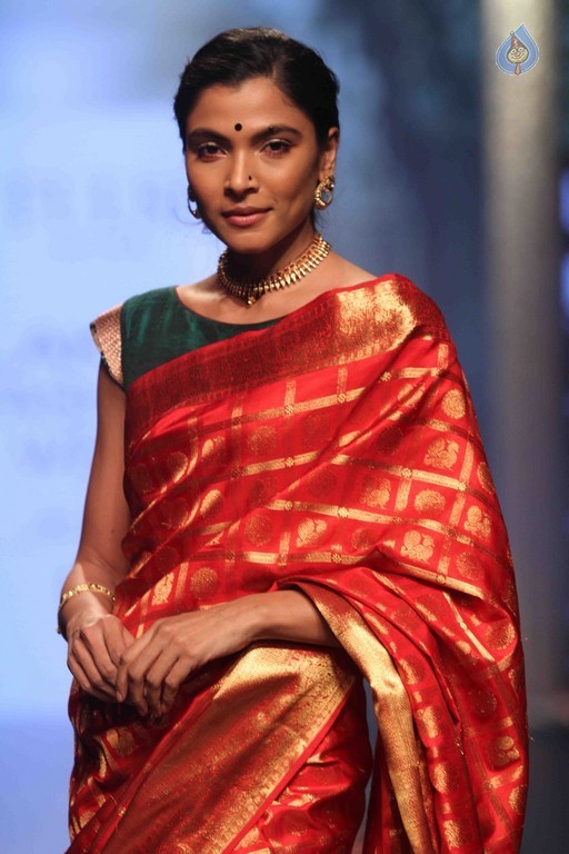 Lakme Fashion Week Winter Festive 2016 Grand Finale - 15 / 84 photos