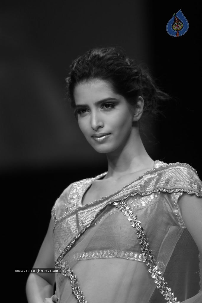 LFW Winter Festive 2011 All Shows - 20 / 34 photos